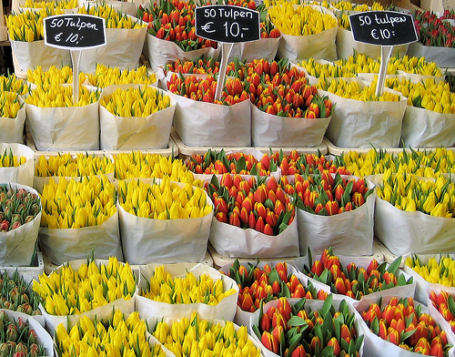Mercado de las Flores de Amsterdam