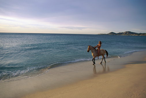 Caballo, Paseo a caballo, paseo a caballo en la playa