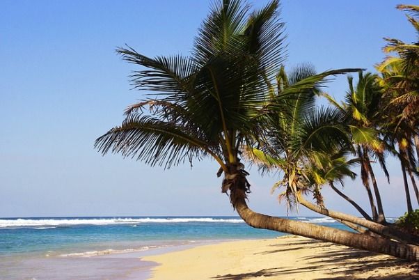 ¿Qué elegir: Rivera Maya o Punta Cana?