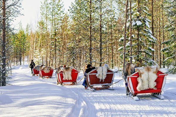 Viajar a Laponia en Navidad