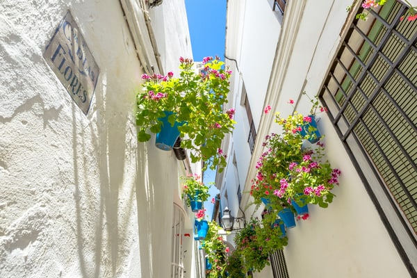 Calle de las Flores, Córdoba