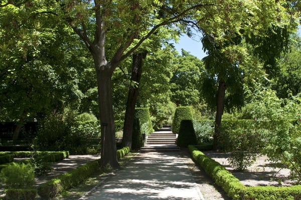 Real Jardín Botánico Madrid