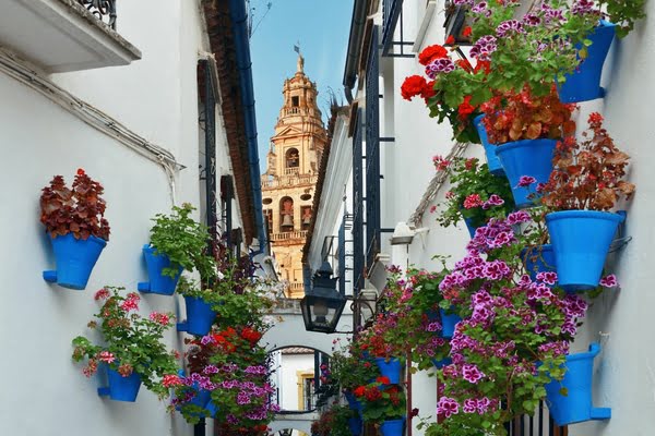 que-visitar-en-cordoba-con-ni-os-foto-blackdragontours